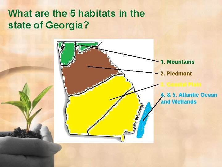 What are the 5 habitats in the state of Georgia? 1. Mountains 2. Piedmont