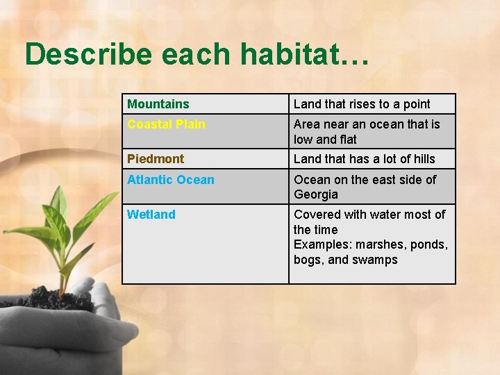 Describe each habitat… Mountains Land that rises to a point Coastal Plain Area near