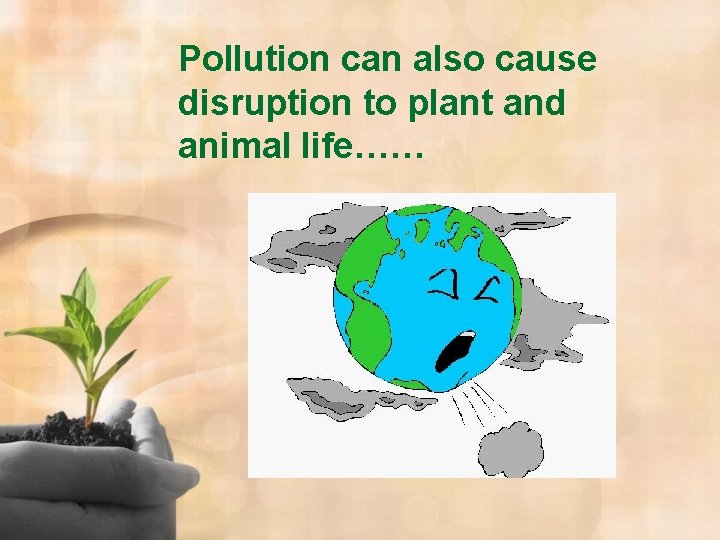 Pollution can also cause disruption to plant and animal life…… 