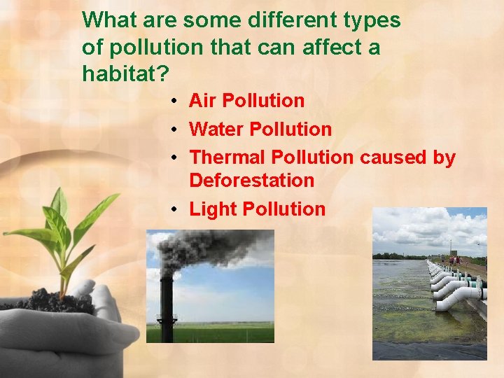 What are some different types of pollution that can affect a habitat? • Air