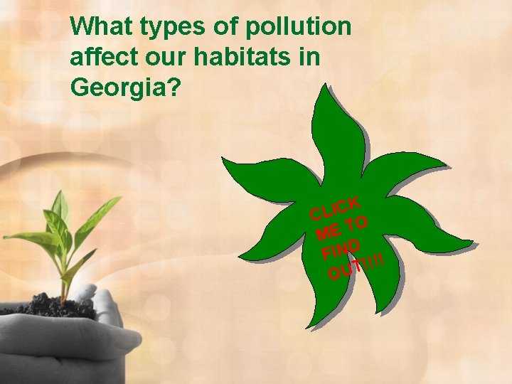 What types of pollution affect our habitats in Georgia? K C I L C