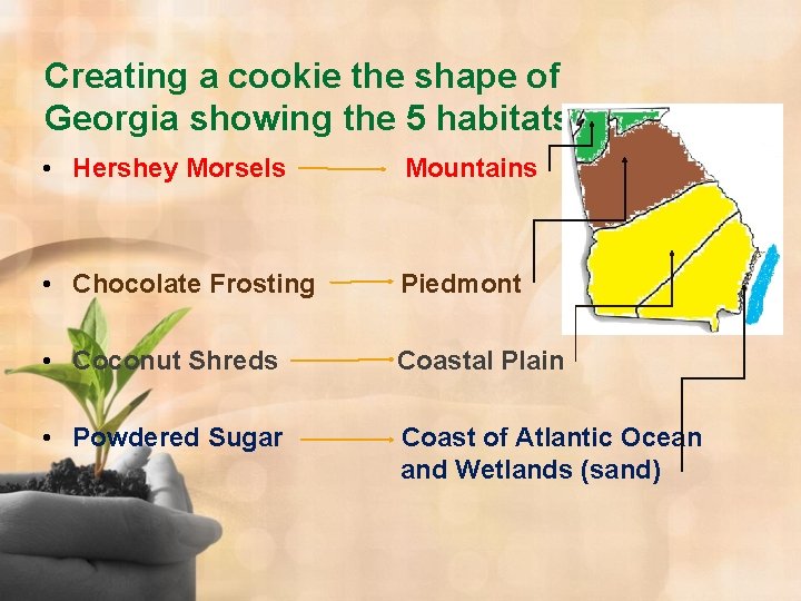 Creating a cookie the shape of Georgia showing the 5 habitats! • Hershey Morsels