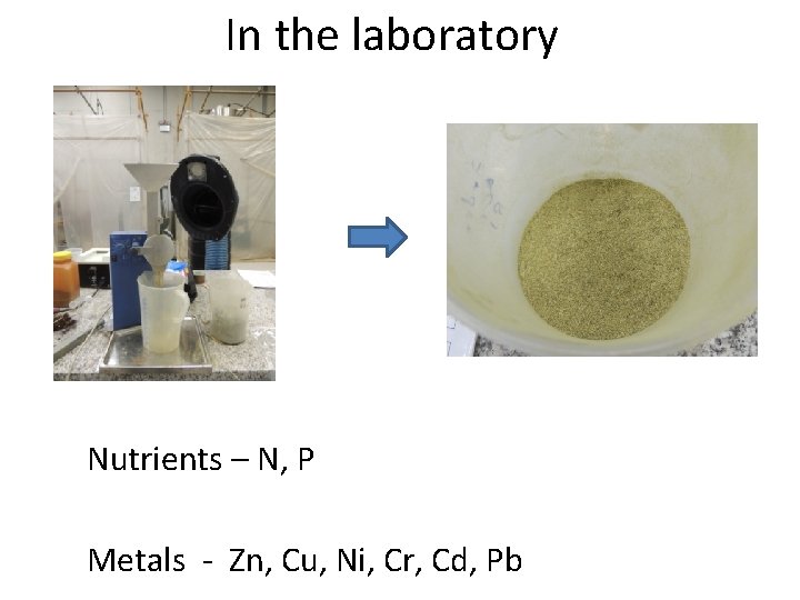 In the laboratory Nutrients – N, P Metals - Zn, Cu, Ni, Cr, Cd,