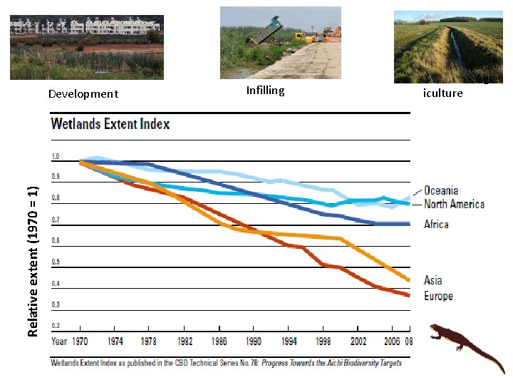 Relative extent (1970 = 1) Development Infilling iculture Agr 