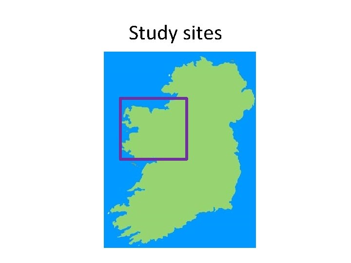 Study sites 