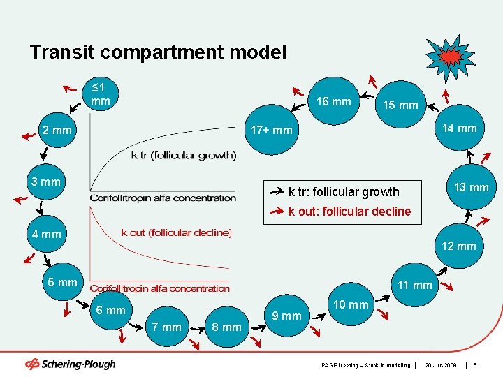 Transit compartment model ≤ 1 mm 16 mm 15 mm 14 mm 17+ mm