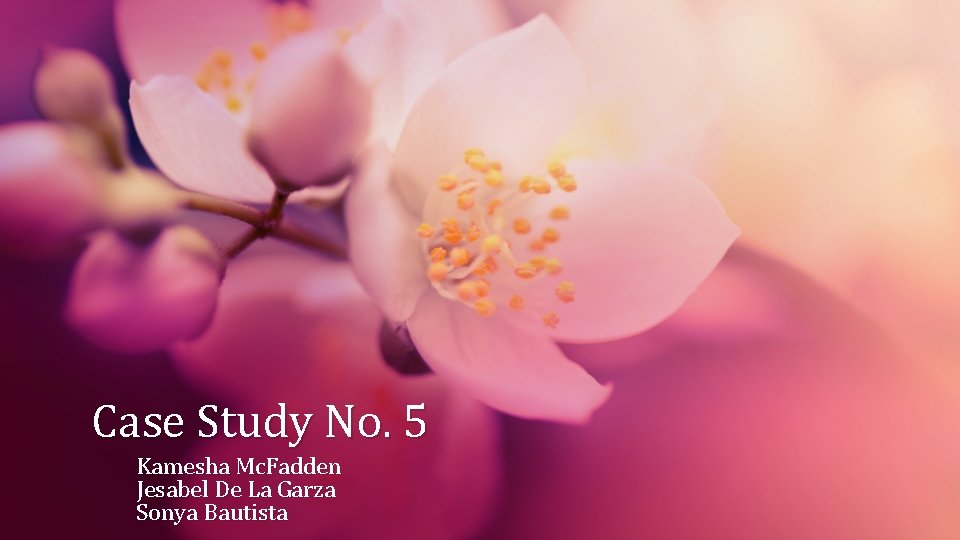 Case Study No. 5 Kamesha Mc. Fadden Jesabel De La Garza Sonya Bautista 