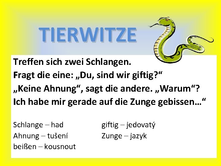 TIERWITZE Treffen sich zwei Schlangen. Fragt die eine: „Du, sind wir giftig? “ „Keine