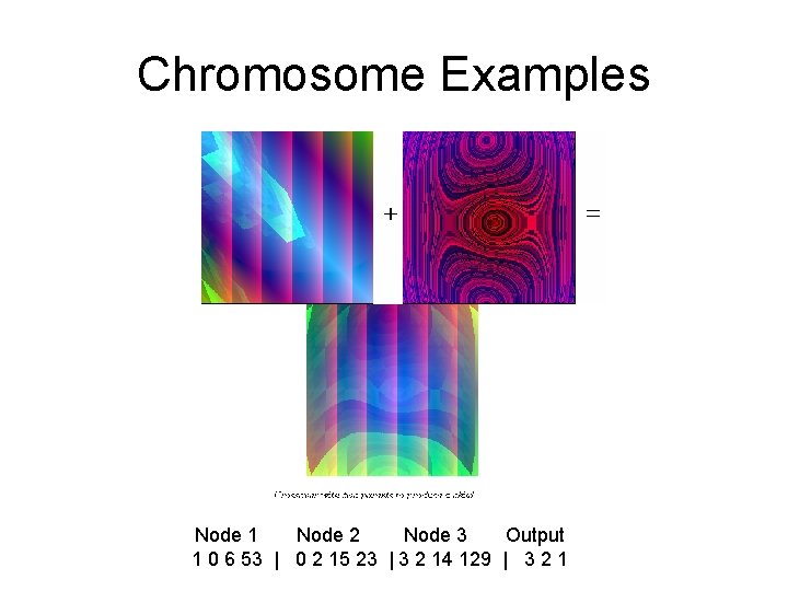 Chromosome Examples Node 1 Node 2 Node 3 Output 1 0 6 53 |