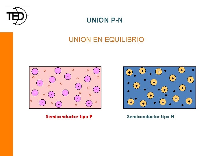 UNION P-N UNION EN EQUILIBRIO - - - Semiconductor tipo P + + +