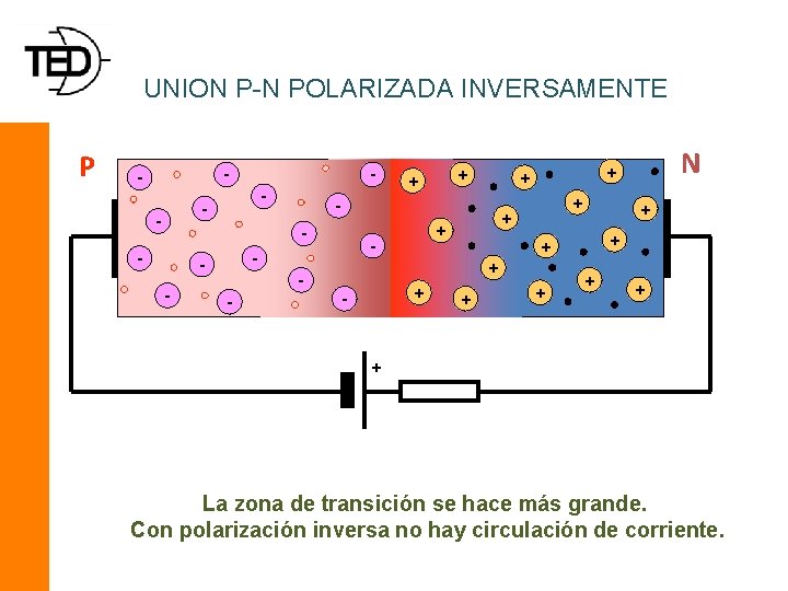 UNION P-N POLARIZADA INVERSAMENTE P - - - - - + + - +