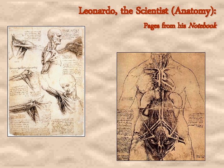 Leonardo, the Scientist (Anatomy): Pages from his Notebook 