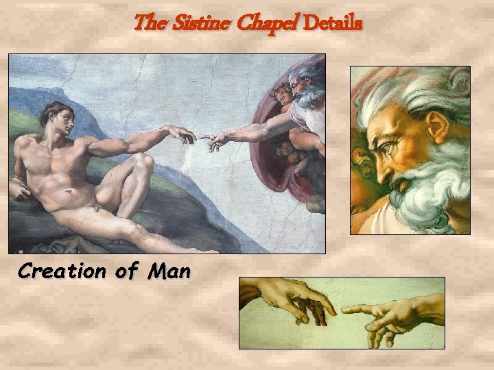 The Sistine Chapel Details Creation of Man 