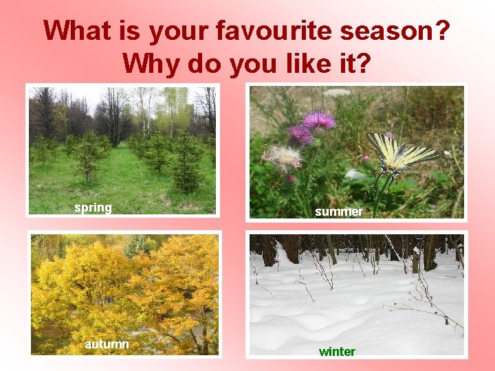 What is your favourite season? Why do you like it? spring autumn summer winter What is your favourite season? Why do you like it? spring autumn summer winter