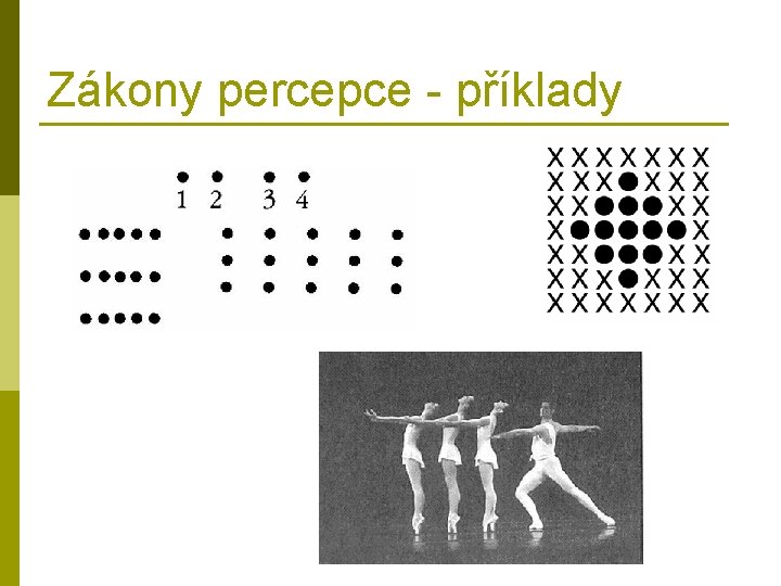 Zákony percepce - příklady 