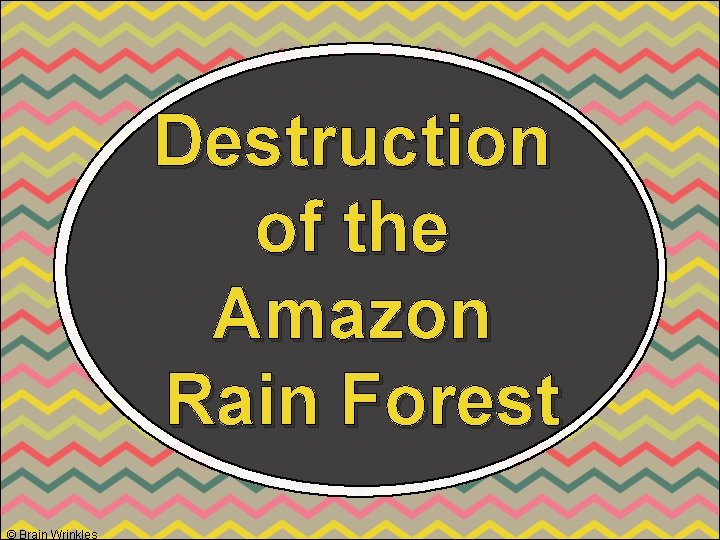 Destruction of the Amazon Rain Forest © Brain Wrinkles 