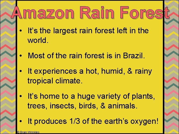 Amazon Rain Forest • It’s the largest rain forest left in the world. •