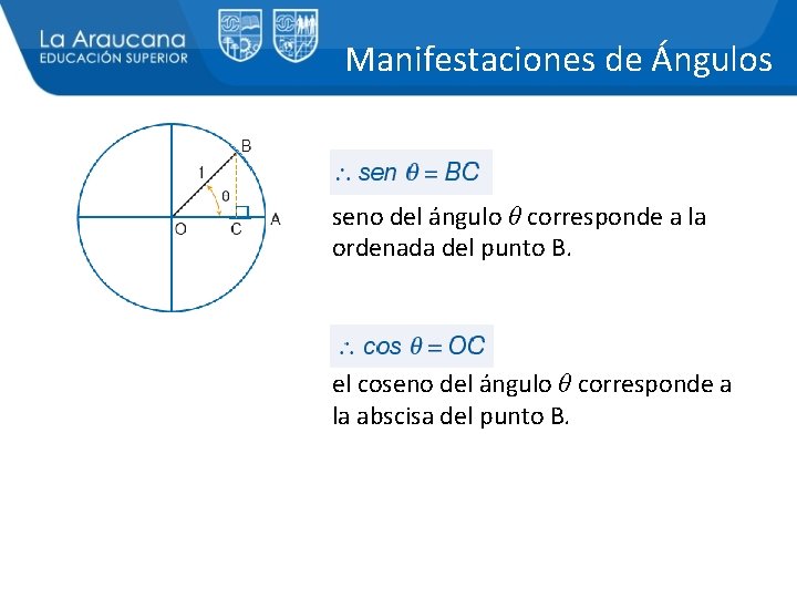 Manifestaciones de Ángulos seno del ángulo θ corresponde a la ordenada del punto B.