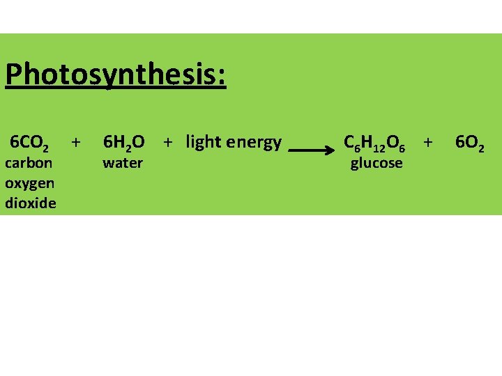 Photosynthesis: 6 CO 2 carbon oxygen dioxide + 6 H 2 O + light Photosynthesis: 6 CO 2 carbon oxygen dioxide + 6 H 2 O + light