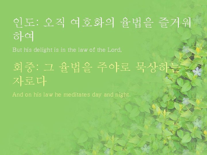 인도: 오직 여호화의 율법을 즐거워 하여 But his delight is in the law of