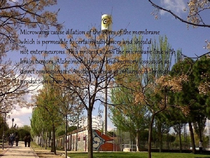 Microwaves cause dilation of the pores of the membrane which is permeable to certain