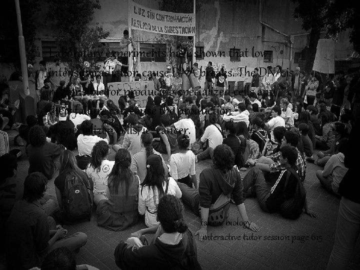 Laboratory experiments have shown that lowintensity radiation cause DNA breaks. The DNA is responsible