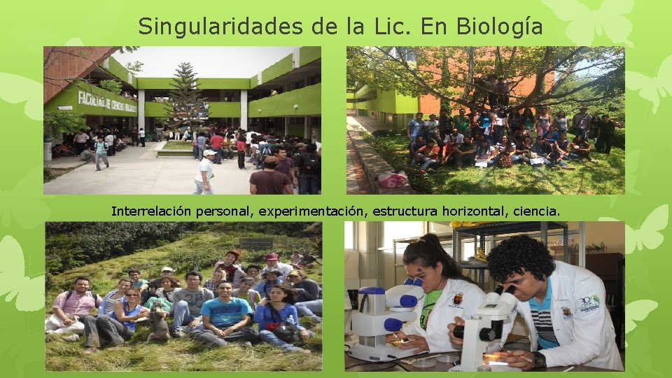 Singularidades de la Lic. En Biología Interrelación personal, experimentación, estructura horizontal, ciencia. 