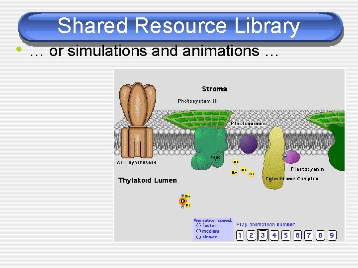 Shared Resource Library • … or simulations and animations … 