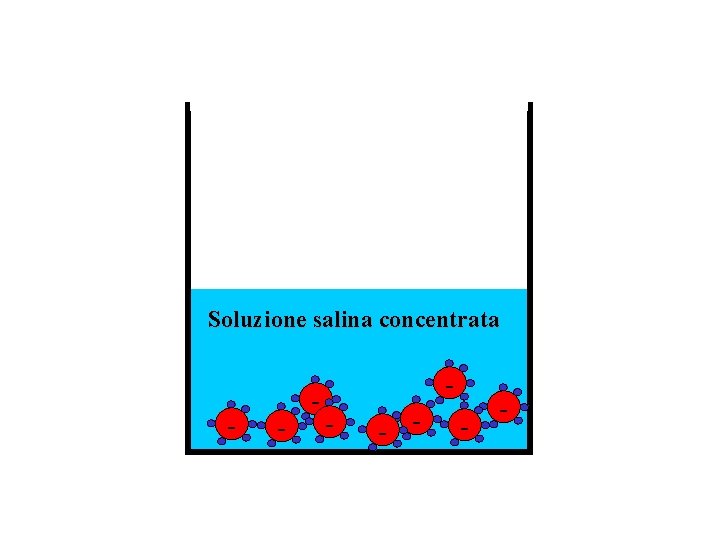 Soluzione salina concentrata - - - - 