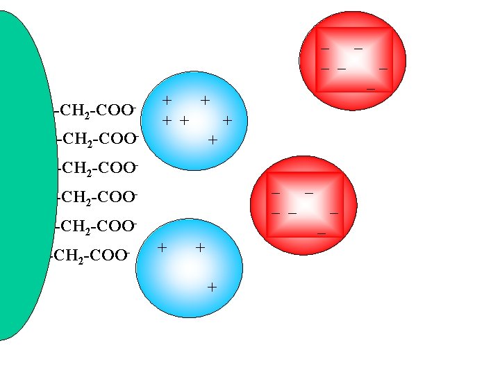 _ _ _ R-CH 2 -COO- + + + R-CH 2 -COO- _ _