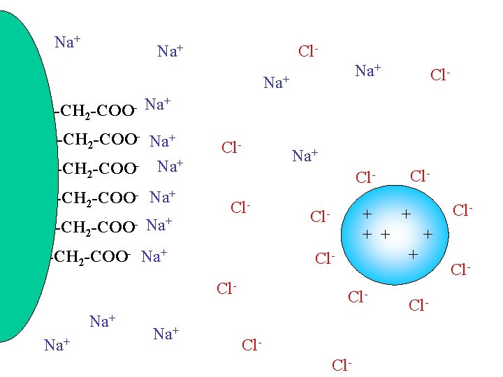 Na+ Cl- Na+ Na+ R-CH 2 -COO- Na+ R-CH 2 -COO- Na+ Cl- Cl-