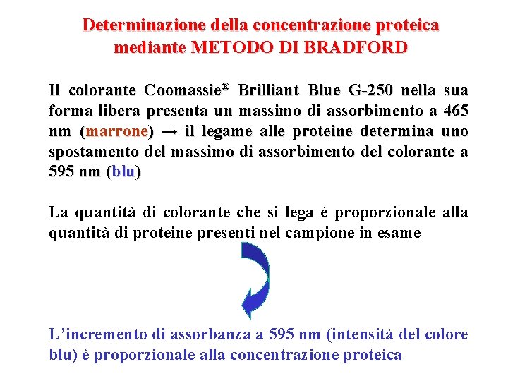 Determinazione della concentrazione proteica mediante METODO DI BRADFORD Il colorante Coomassie® Brilliant Blue G-250