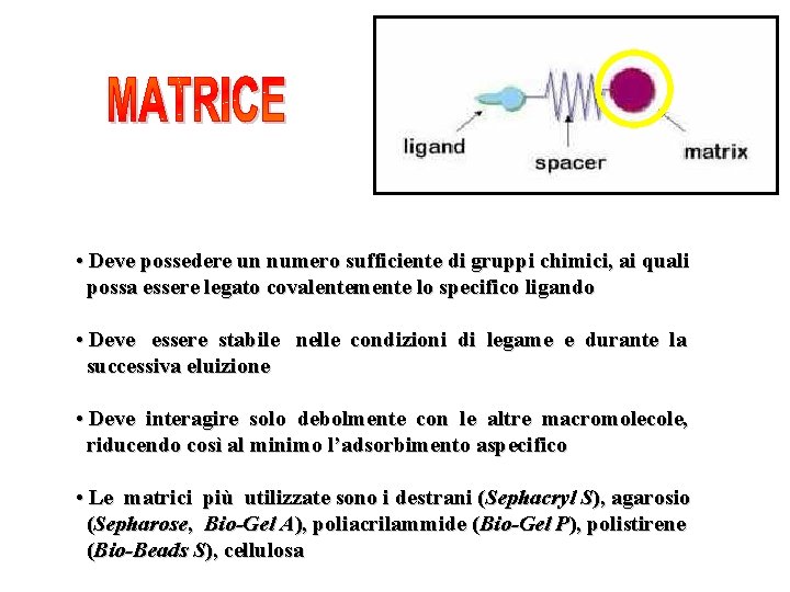  • Deve possedere un numero sufficiente di gruppi chimici, ai quali possa essere