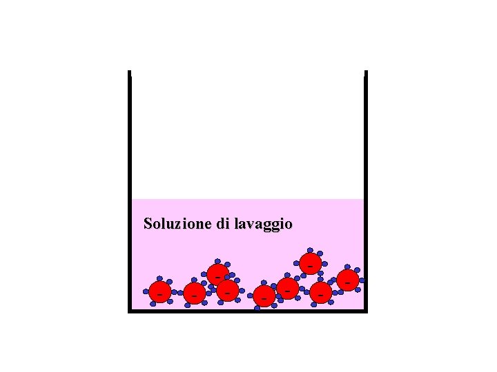 Soluzione di lavaggio - - - - 