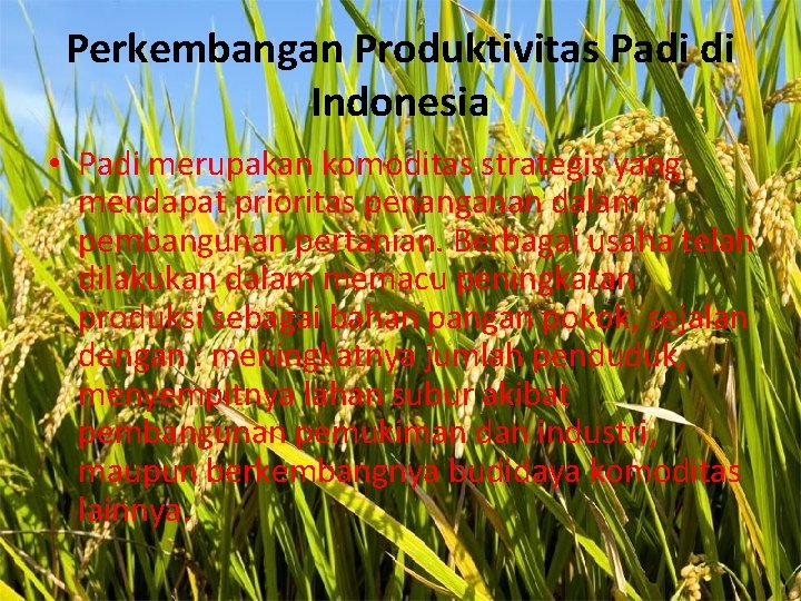 Perkembangan Produktivitas Padi di Indonesia • Padi merupakan komoditas strategis yang mendapat prioritas penanganan