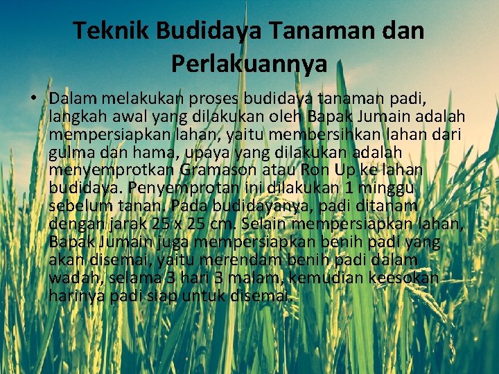 Teknik Budidaya Tanaman dan Perlakuannya • Dalam melakukan proses budidaya tanaman padi, langkah awal