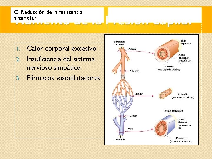 C. Reducción de la resistencia arteriolar Aumento de la Presión Capilar Calor corporal excesivo