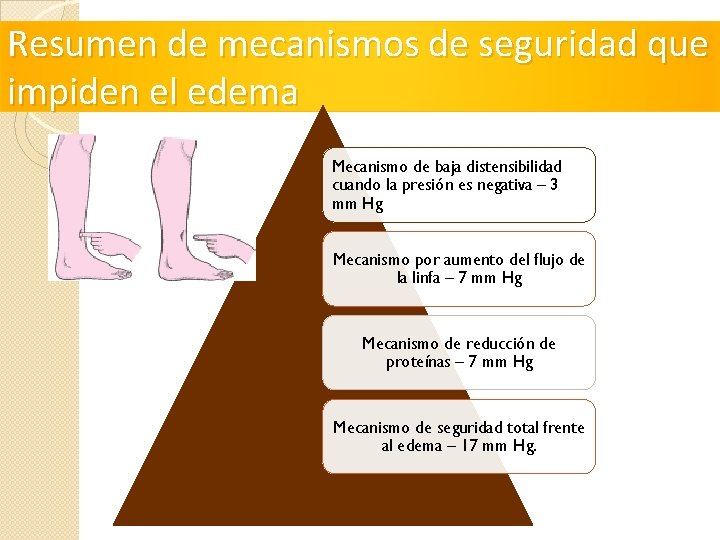 Resumen de mecanismos de seguridad que impiden el edema Mecanismo de baja distensibilidad cuando