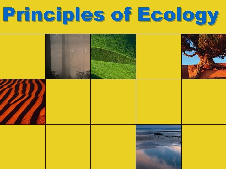 Principles of Ecology 