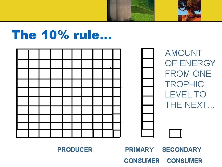The 10% rule… AMOUNT OF ENERGY FROM ONE TROPHIC LEVEL TO THE NEXT… PRODUCER