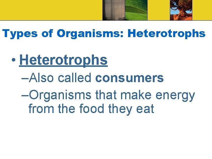 Types of Organisms: Heterotrophs • Heterotrophs –Also called consumers –Organisms that make energy from