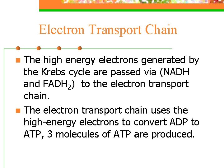 Electron Transport Chain The high energy electrons generated by the Krebs cycle are passed