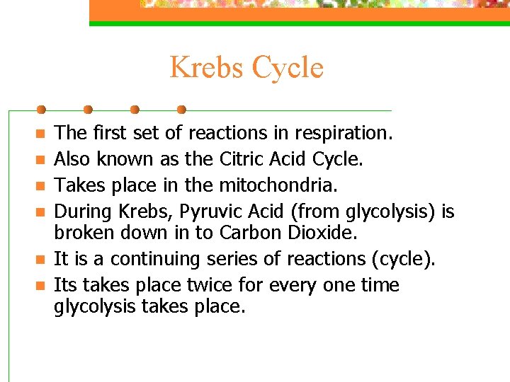 Krebs Cycle n n n The first set of reactions in respiration. Also known