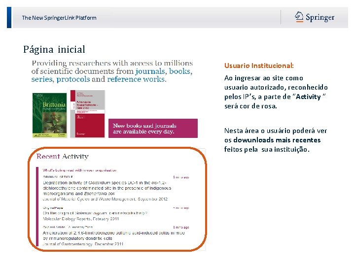 The New Springer. Link Platform Página inicial Usuario Institucional: Ao ingresar ao site como