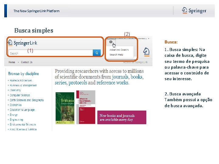 The New Springer. Link Platform Busca simples (2) Busca: (1) 1. Busca simples: Na