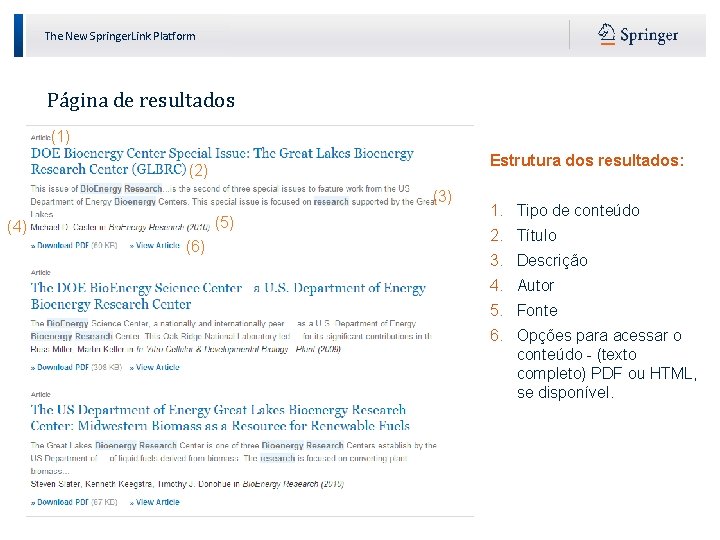 The New Springer. Link Platform Página de resultados (1) Estrutura dos resultados: (2) (3)