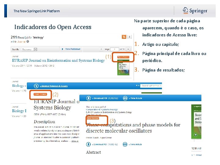 The New Springer. Link Platform Na parte superior de cada página aparecem, quando é