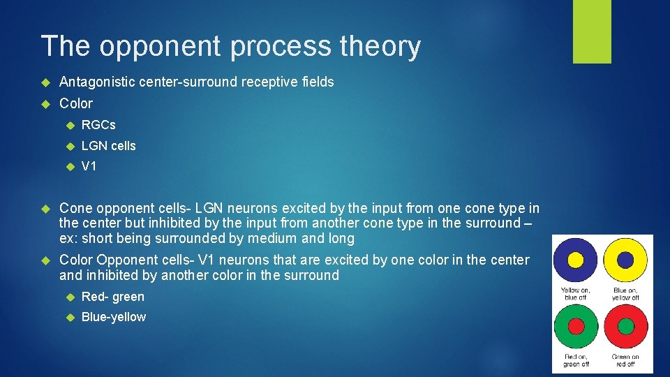 The opponent process theory Antagonistic center-surround receptive fields Color RGCs LGN cells V 1