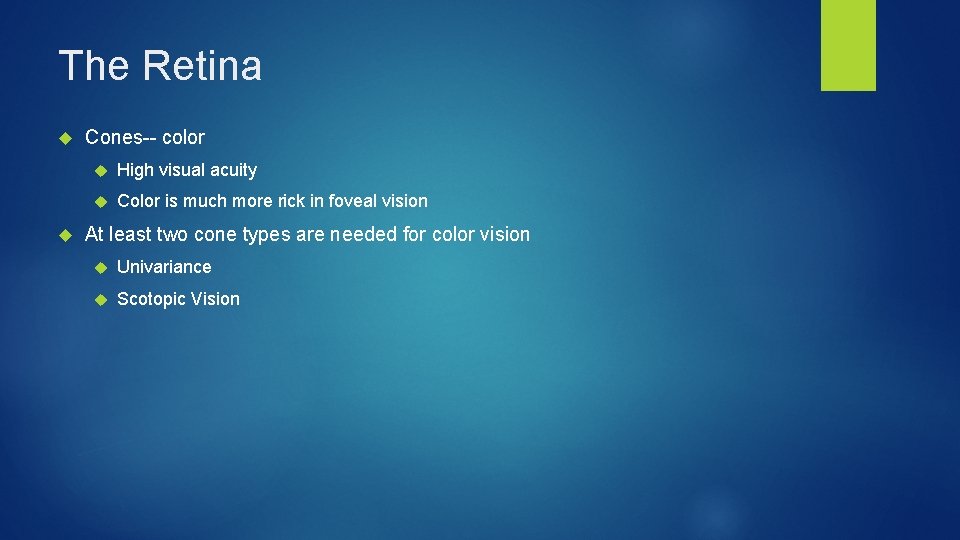 The Retina Cones-- color High visual acuity Color is much more rick in foveal