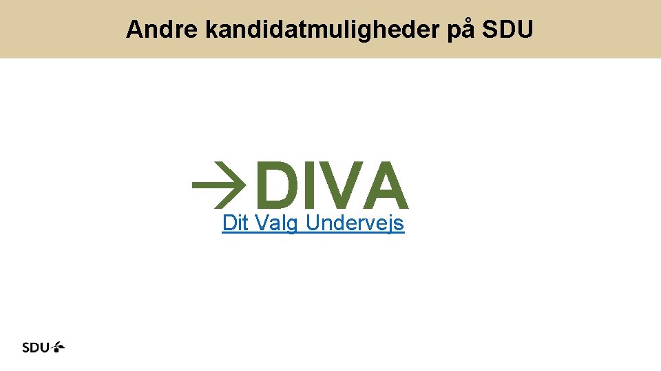 Andre kandidatmuligheder på SDU DIVA Dit Valg Undervejs KOMMUNIKATION OG UDDANNELSE 23. november 2018